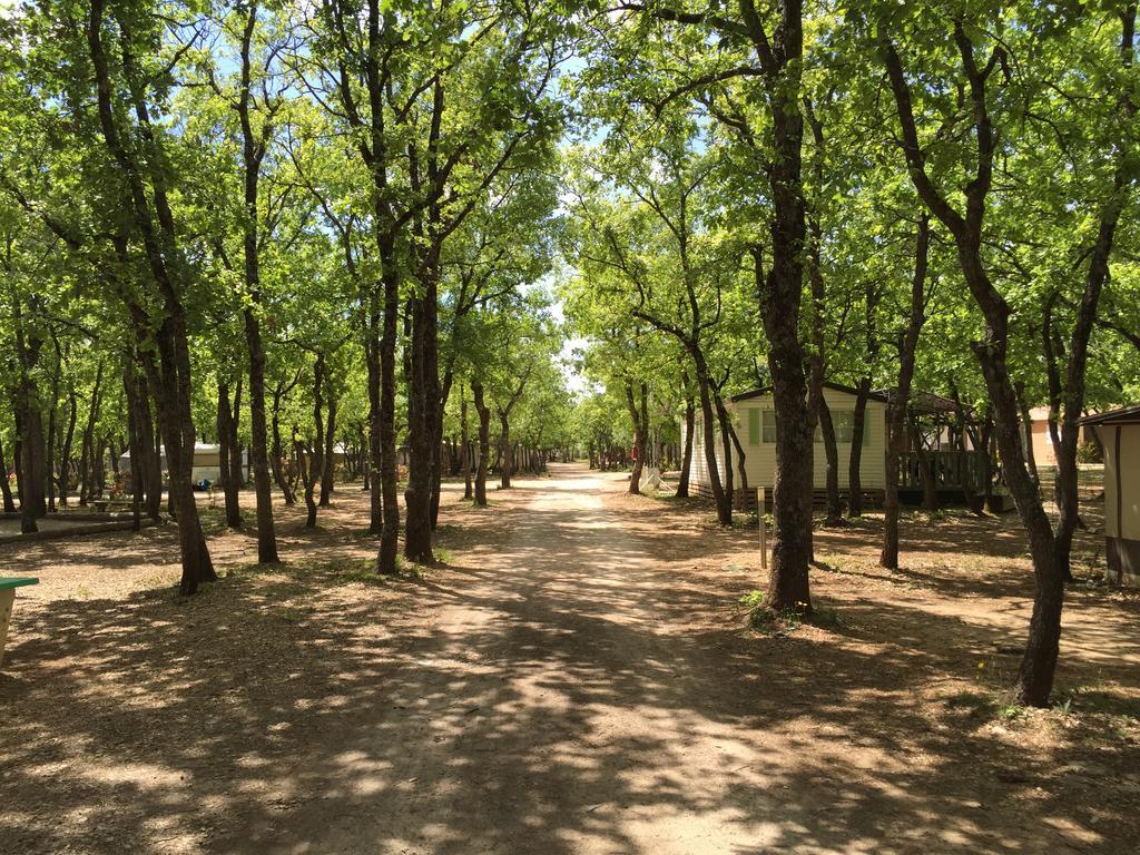 Domaine Les Chenes Blancs Hotel Saint-Saturnin-d'Apt Ngoại thất bức ảnh