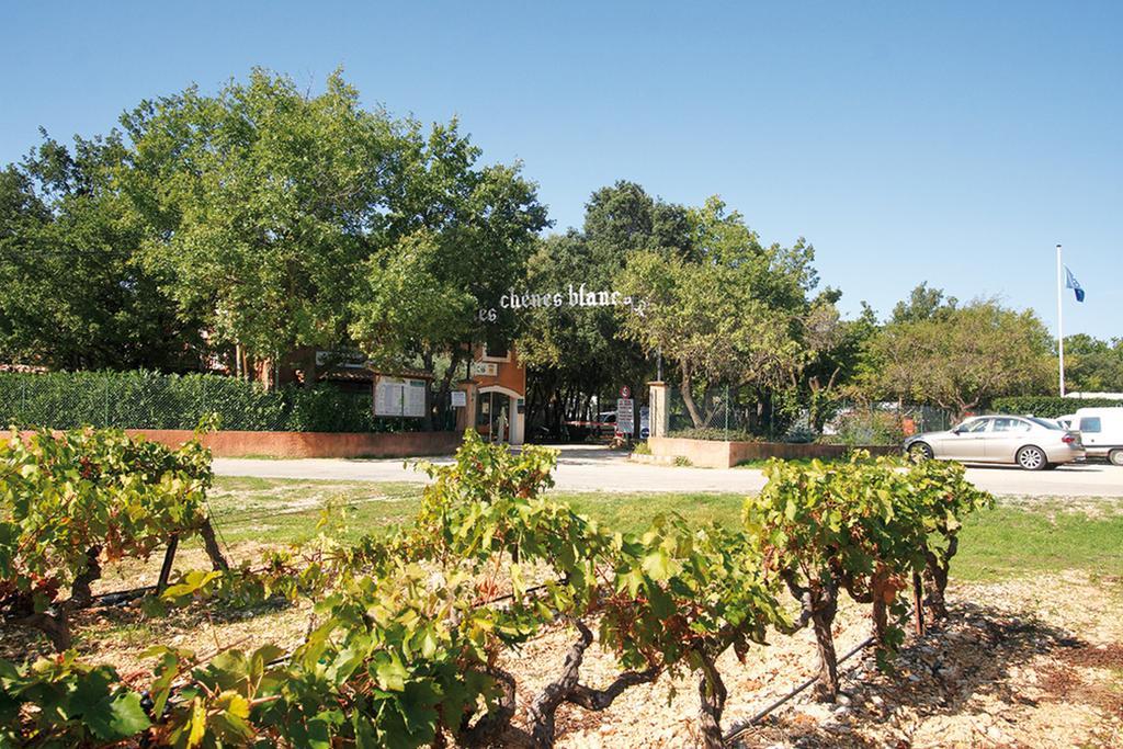 Domaine Les Chenes Blancs Hotel Saint-Saturnin-d'Apt Ngoại thất bức ảnh